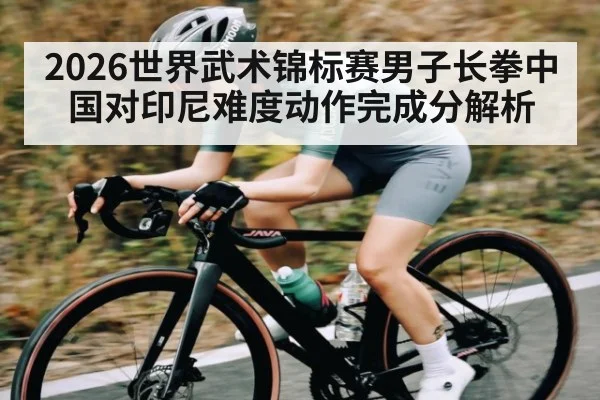 2026世界武术锦标赛男子长拳中国对印尼难度动作完成分解析