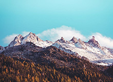 开云体育APP下载-张振强赛季首次首发：表现中规中矩 0-0可以能接受